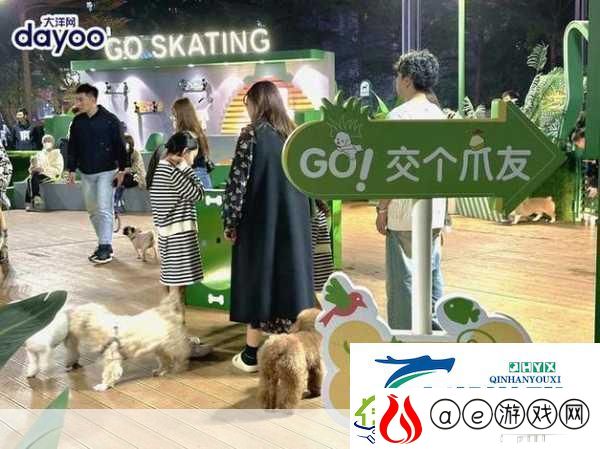 小森生活萌宠俱乐部-携爱犬共赴温馨之旅