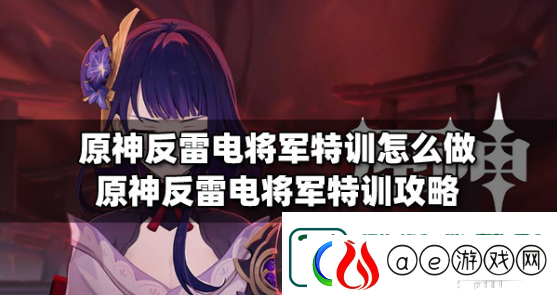 原神反雷电将军特训任务怎么完成-反雷电将军特训攻略