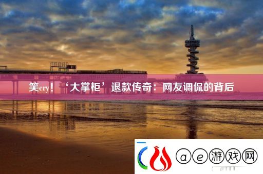 笑cry！‘大掌柜’退款传奇：网友调侃的背后软件教程玩法