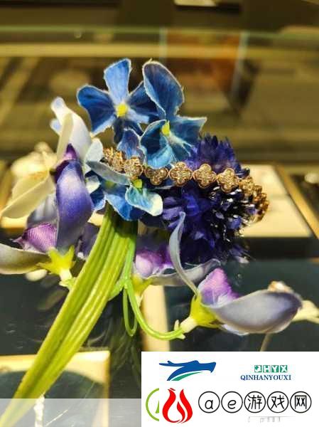 四叶草M码与欧洲888码异同解析-四叶草M码与欧洲888码的异同解析及应用探讨