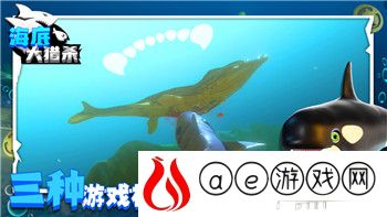 《绯石之心》雷加实战分析：如何掌握雷加的最佳玩法？！