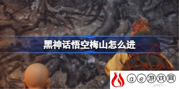梅山进入方法 如何避免常见的战斗失误